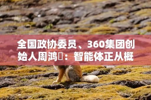 全国政协委员、360集团创始人周鸿祎:智能体正从概念走向实干