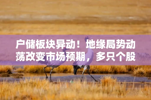 户储板块异动!地缘局势动荡改变市场预期,多只个股逆势大涨