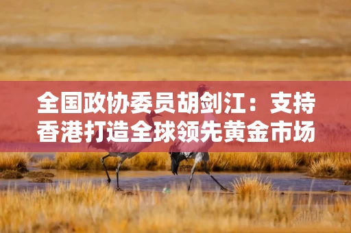 全国政协委员胡剑江:支持香港打造全球领先黄金市场