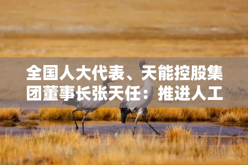 全国人大代表、天能控股集团董事长张天任:推进人工智能赋能产业集群