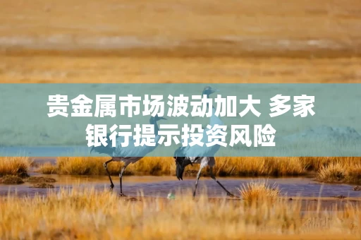 贵金属市场波动加大 多家银行提示投资风险