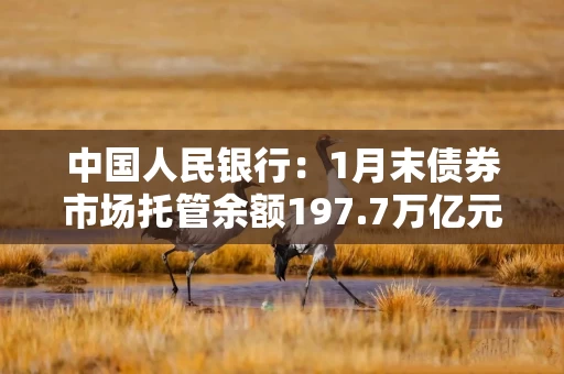 中国人民银行:1月末债券市场托管余额197.7万亿元