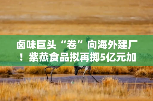 卤味巨头“卷”向海外建厂!紫燕食品拟再掷5亿元加码尼泊尔工厂