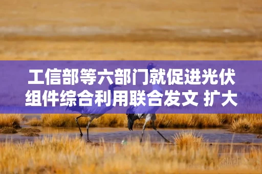 工信部等六部门就促进光伏组件综合利用联合发文 扩大重点领域应用范围 培育一批骨干企业