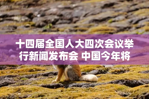 十四届全国人大四次会议举行新闻发布会 中国今年将坚持扩大内需这个战略基点