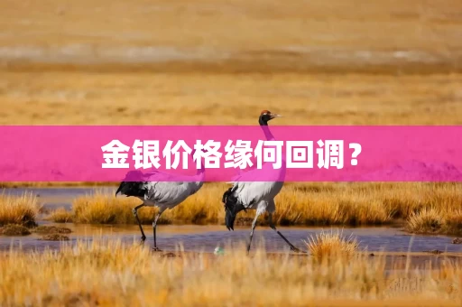 金银价格缘何回调?