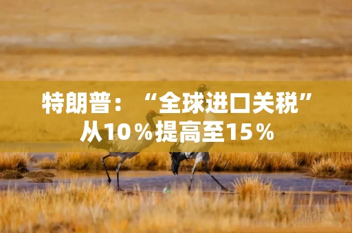 特朗普:“全球进口关税”从10%提高至15%