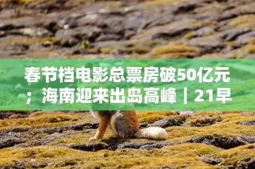 春节档电影总票房破50亿元;海南迎来出岛高峰|21早新闻