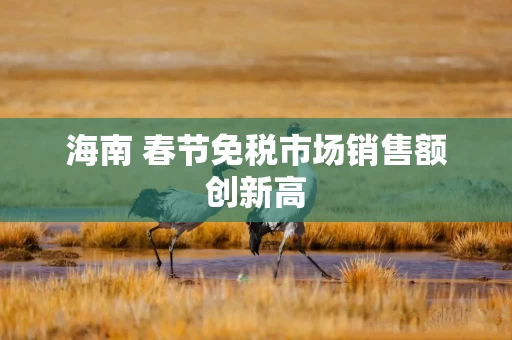 海南 春节免税市场销售额创新高