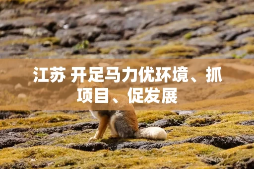 江苏 开足马力优环境、抓项目、促发展