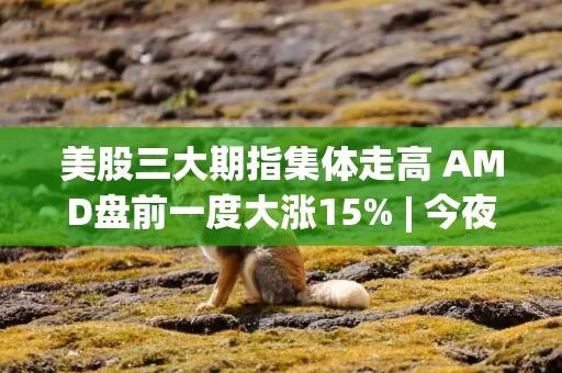 美股三大期指集体走高 AMD盘前一度大涨15% | 今夜看点