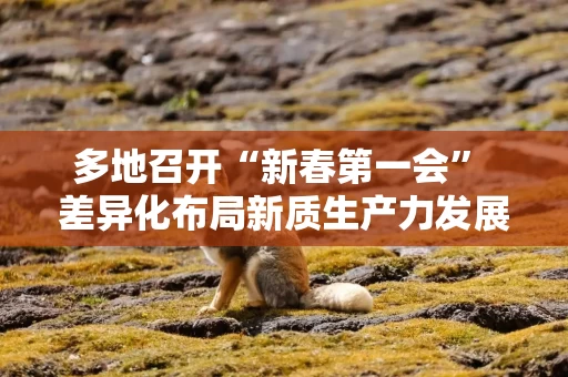 多地召开“新春第一会” 差异化布局新质生产力发展