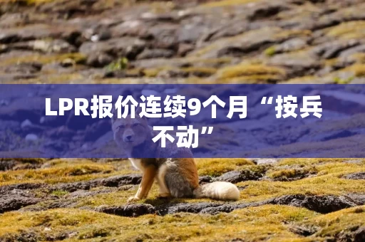 LPR报价连续9个月“按兵不动”