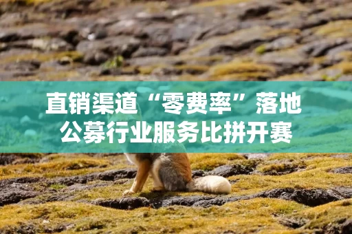 直销渠道“零费率”落地 公募行业服务比拼开赛