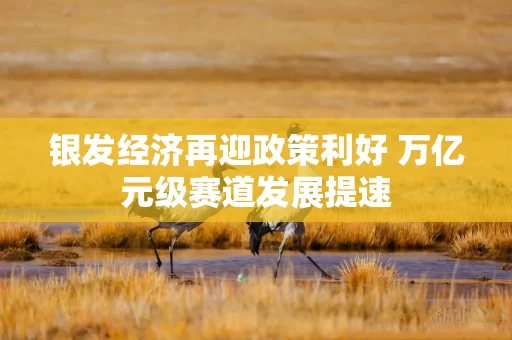 银发经济再迎政策利好 万亿元级赛道发展提速