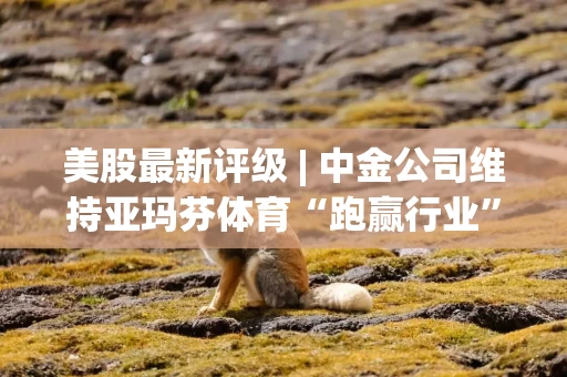 美股最新评级 | 中金公司维持亚玛芬体育“跑赢行业”评级 目标价49.99美元