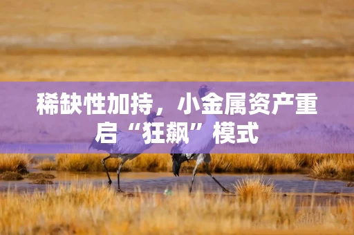 稀缺性加持,小金属资产重启“狂飙”模式