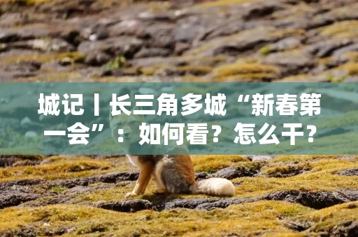 城记丨长三角多城“新春第一会”:如何看?怎么干?这些关键词有深意