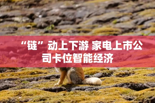 “链”动上下游 家电上市公司卡位智能经济