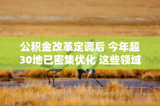 公积金改革定调后 今年超30地已密集优化 这些领域成为发力重点