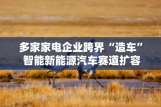 多家家电企业跨界“造车” 智能新能源汽车赛道扩容