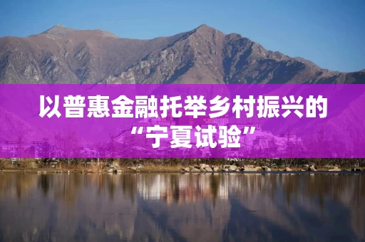 以普惠金融托举乡村振兴的“宁夏试验”