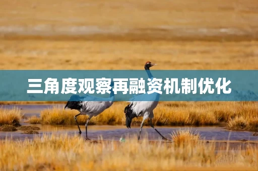 三角度观察再融资机制优化