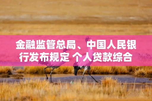金融监管总局、中国人民银行发布规定 个人贷款综合融资成本将向借款人明示