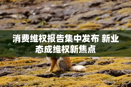 消费维权报告集中发布 新业态成维权新焦点