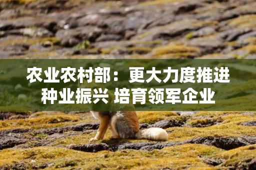 农业农村部：更大力度推进种业振兴 培育领军企业