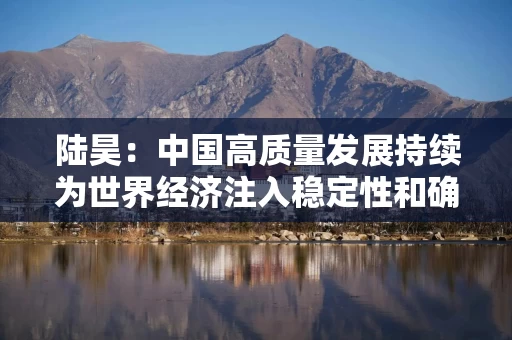 陆昊:中国高质量发展持续为世界经济注入稳定性和确定性