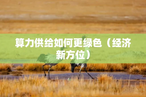 算力供给如何更绿色(经济新方位)