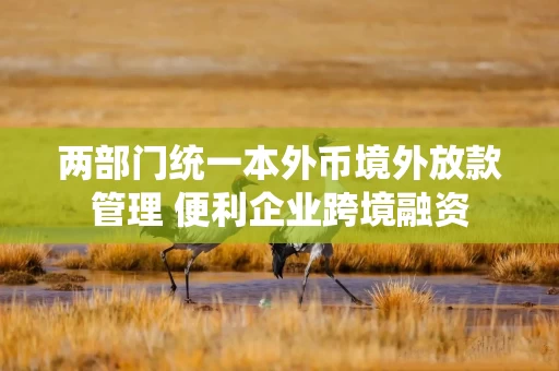 两部门统一本外币境外放款管理 便利企业跨境融资