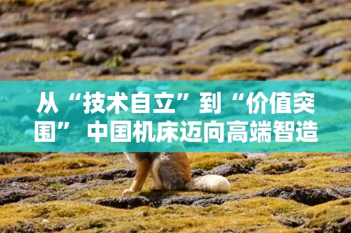 从“技术自立”到“价值突围” 中国机床迈向高端智造