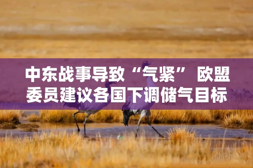 中东战事导致“气紧” 欧盟委员建议各国下调储气目标