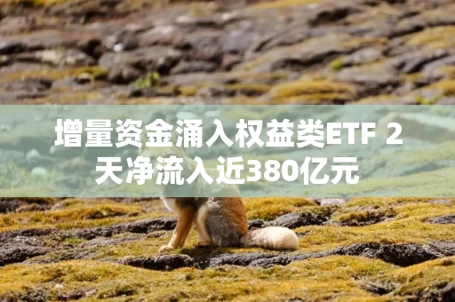 增量资金涌入权益类ETF 2天净流入近380亿元