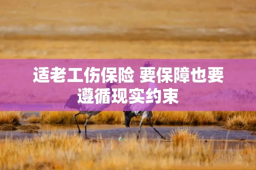 适老工伤保险 要保障也要遵循现实约束