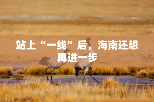 站上“一线”后，海南还想再进一步