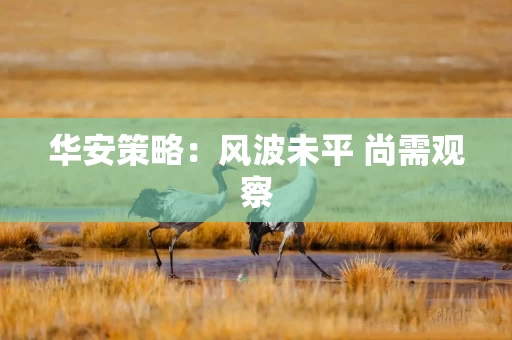 华安策略:风波未平 尚需观察