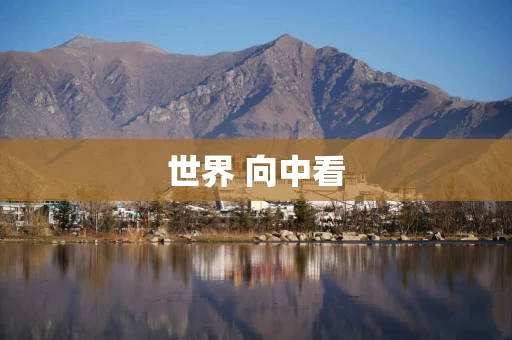 世界 向中看