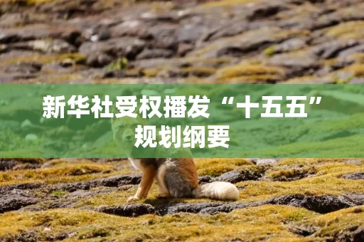 新华社受权播发“十五五”规划纲要