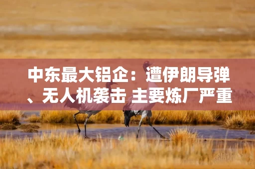 中东最大铝企:遭伊朗导弹、无人机袭击 主要炼厂严重受损