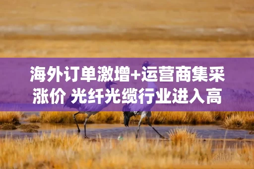 海外订单激增+运营商集采涨价 光纤光缆行业进入高景气周期(附股)