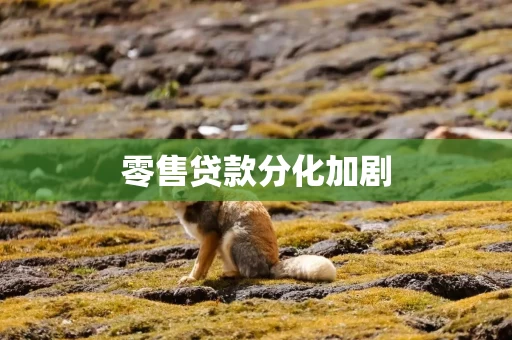 零售贷款分化加剧