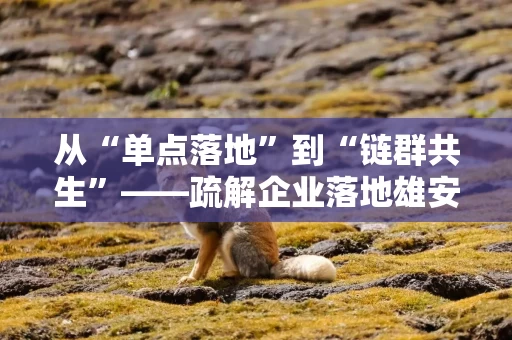 从“单点落地”到“链群共生”——疏解企业落地雄安观察