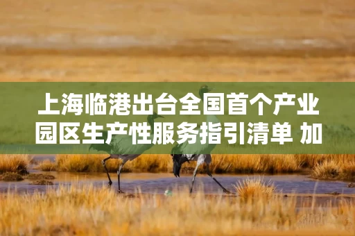 上海临港出台全国首个产业园区生产性服务指引清单 加码布局生产性服务业 提升专业服务能级