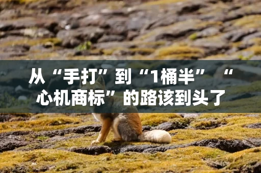 从“手打”到“1桶半” “心机商标”的路该到头了