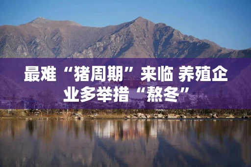 最难“猪周期”来临 养殖企业多举措“熬冬”