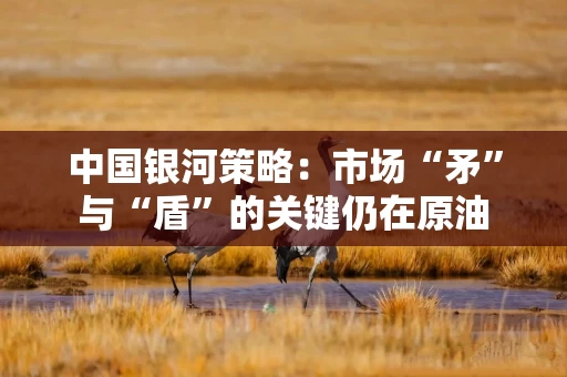 中国银河策略:市场“矛”与“盾”的关键仍在原油