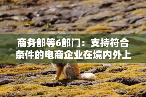 商务部等6部门：支持符合条件的电商企业在境内外上市融资